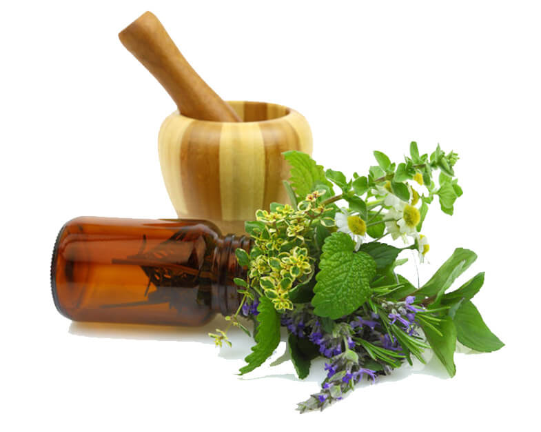 Ayurvedic-Medicine-In-Sri-Lanka